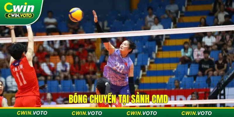 CMD thể thao Cwin - Sảnh cá cược thể thao đẳng cấp quốc tế 3 Thể thao bóng chuyền tại sảnh CMD